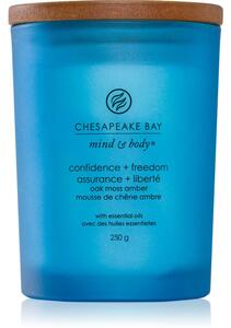 Chesapeake Bay Candle Mind & Body Confidence & Freedom mirisna svijeća 250 g