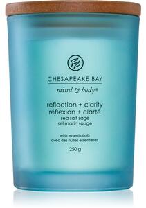 Chesapeake Bay Candle Mind & Body Reflection & Clarity mirisna svijeća 250 g