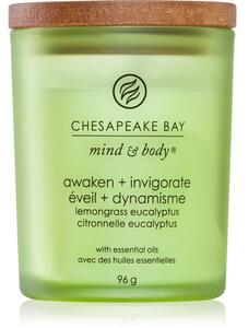 Chesapeake Bay Candle Mind & Body Awaken & Invigorate mirisna svijeća 96 g