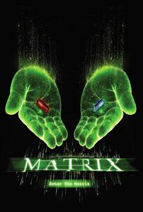 Umjetnički plakat Matrix - Choose your path, (26.7 x 40 cm)