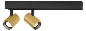 Wever & Ducré Lighting WEVER & DUCRÉ Ceno LED reflektor, crna/zlatna, 2.700 K, 2 svjetla, prigušiva, Crno, Dnevni boravak/blagovaonica, Aluminij
