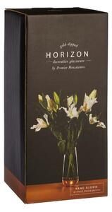 Staklena vaza Horizon – Premier Housewares