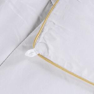 Cjelogodišnji svileni pokrivač Vitapur Victoria's Silk 140x200 cm