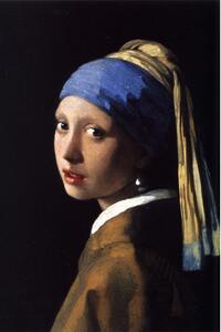 Reprodukcija slike Johannes Vermeer - djevojka s biserom, 40 x 30 cm