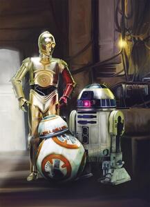 Foto tapeta Star Wars Three Droids 4-447