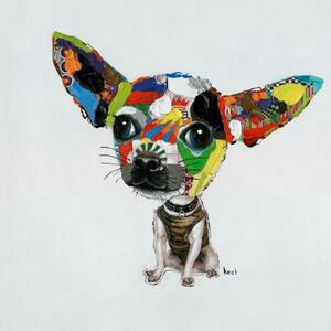 Slika Chihuahua