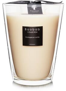 Baobab All Seasons Madagascar Vanilla mirisna svijeća 24 cm