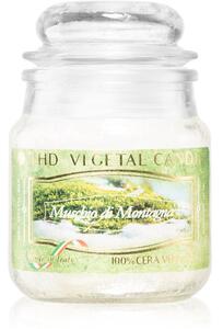 THD Vegetal Muschio Di Montagna mirisna svijeća 100 g