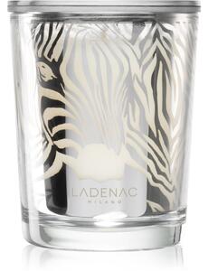 Ladenac Africa Zebra Camouflage mirisna svijeća 70 g