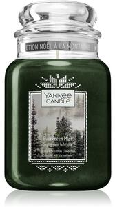 Yankee Candle Evergreen Mist mirisna svijeća Classic mala 623 g