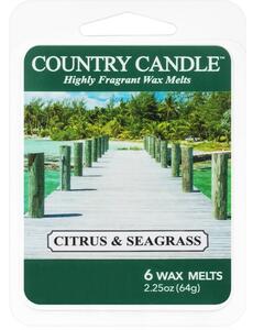 Country Candle Citrus & Seagrass vosak za aroma lampu 64 g