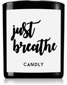 Candly & Co. Just Breathe mirisna svijeća 250 g