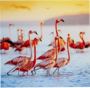 Slika Flamingo Family