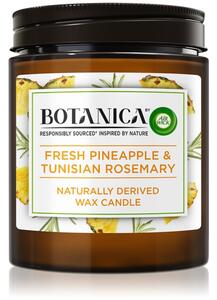 Air Wick Botanica Fresh Pineapple & Tunisian Rosemary mirisna svijeća 205 g