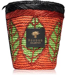 Baobab Collection Hazo Noely mirisna svijeća 16 cm