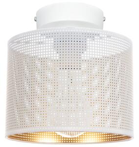Stropna svjetiljka ALDO 1xE27/60W/230V pr. 20 cm bijela
