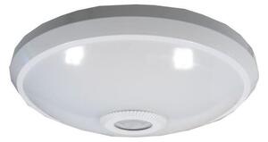 LED Stropna svjetiljka sa senzorom LED/12W/230V