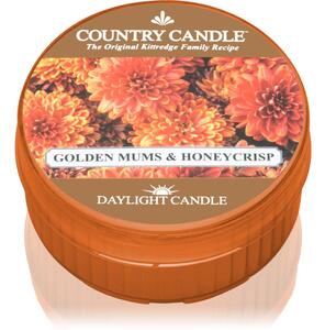 Country Candle Golden Mums & Honey Crisp čajna svijeća 42 g