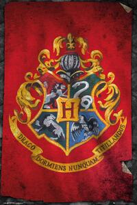 Poster Harry Potter - Draco, (61 x 91.5 cm)