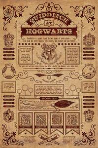 Poster Harry Potter - Metloboj, (61 x 91.5 cm)