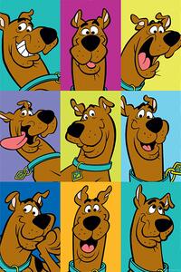Poster Scooby Doo - The Many Faces of Scooby Doo, (61 x 91.5 cm)