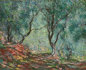 Monet, Claude - Reprodukcija umjetnosti Olive Trees in the Moreno Garden; Bois d'oliviers au jardin Moreno, (40 x 30 cm)