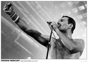 Poster Freddie Mercury - Wembley 1984, (84.1 x 59.4 cm)