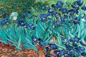 Poster Vincent van Gogh - Les Irises, (91.5 x 61 cm)