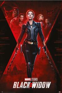 Poster Black Widow - Nedovršeni Poslovi