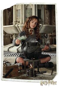 Ilustracija Harry Potter - Hermione Granger