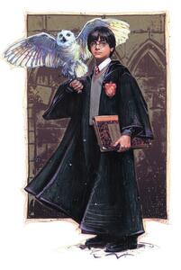 Umjetnički plakat Harry Potter with Hedvig - Art, (26.7 x 40 cm)