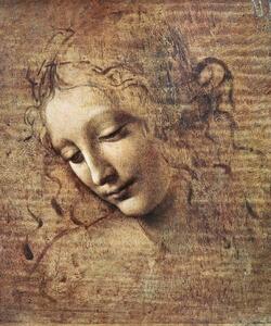 Leonardo da Vinci - Reprodukcija umjetnosti Leonardo da Vinci - Head of a Young Woman, (35 x 40 cm)