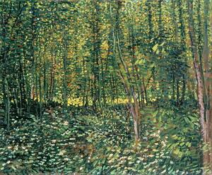 Vincent van Gogh - Reprodukcija umjetnosti Trees and Undergrowth, 1887, (40 x 35 cm)