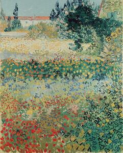 Vincent van Gogh - Reprodukcija umjetnosti Garden in Bloom, Arles, July 1888, (30 x 40 cm)