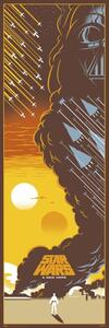 Poster Star Wars: Episode IV - A New Hope, (53 x 158 cm)