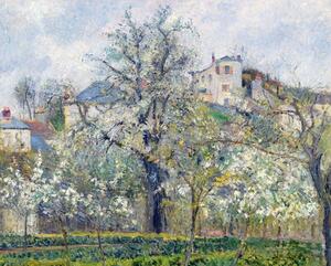 Camille Pissarro - Reprodukcija umjetnosti The Vegetable Garden with Trees in Blossom, Spring, Pontoise, (40 x 30 cm)