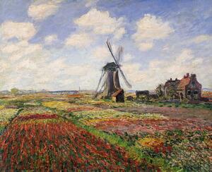 Claude Monet - Reprodukcija umjetnosti Tulip Fields with the Rijnsburg Windmill, 1886, (40 x 35 cm)