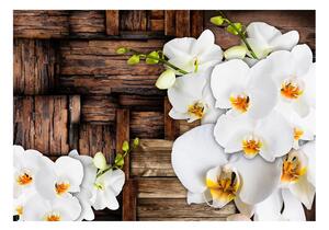 Foto tapeta - Blooming orchids
