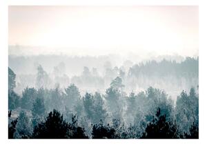 Foto tapeta - Winter Forest