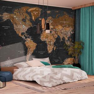 Foto tapeta - World: Stylish Map