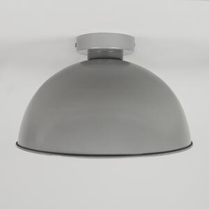 Stropna svjetiljka siva s srebrnom 30 cm - Magna Basic