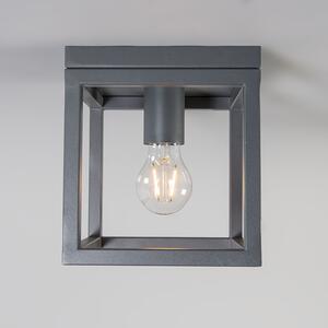 Industrijska stropna svjetiljka antracit - Kavez 1