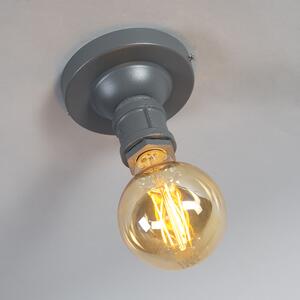 Industrijska stropna svjetiljka tamno siva - Vodoinstalater 1