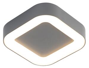 Zidna i stropna svjetiljka siva kvadrat IP54 - Ariel