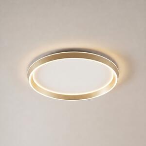 Lucande Rylan LED stropna svjetiljka, mesing, Ø 62 cm, dimabilna CCT, prigušiva, Zlato / mjed, Dnevni boravak/blagovaonica, Metal