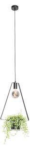 Moderna viseća svjetiljka crna sa staklom trokutasta - Roslini