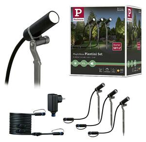 Paulmann Plug & Shine Osnovni set Plantini (2 W, Šiljak za zabijanje u zemlju, IP65, 3 Kom.)