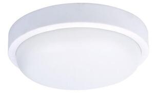 Solight WO750 - LED Vanjska stropna svjetiljka LED/20W/230V IP54