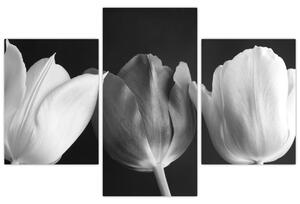 Slika - Crno-bijeli cvjetovi tulipana (90x60 cm)