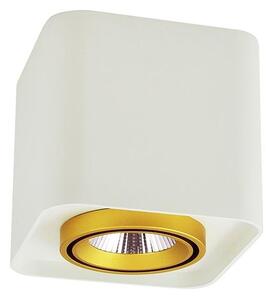 LED Reflektorska svjetiljka XENO LED/10W/230V bijela 800lm